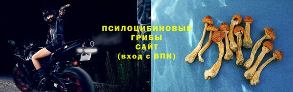 амф Абдулино