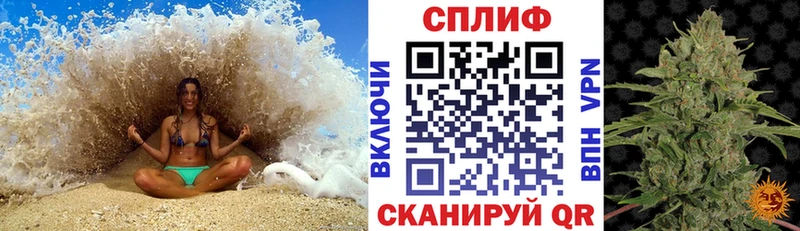 наркота  Козловка  omg зеркало  Шишки марихуана индика 